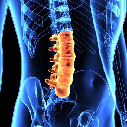 Disc-Injuries-Banner Disc-Injuries